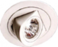 Halogen Adjustable Downlight