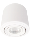LED Surface Adjustable Downlight CRD SU/AR111