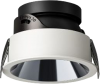 Mini Trim Adjustable Downlight CMT30